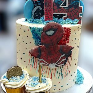 Super Hero Cake - Goldis COnfectioneries